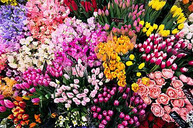 SIE总裁：将来会有更多的收购